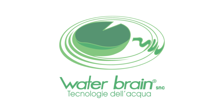 Water Brain